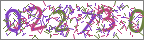 Security code image